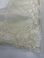 Soft Organza Saree/ 287B