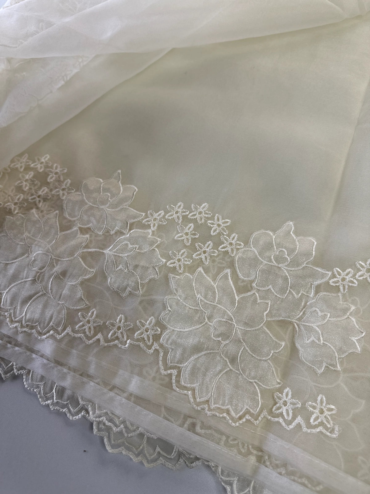 Soft Organza Saree/ 287B