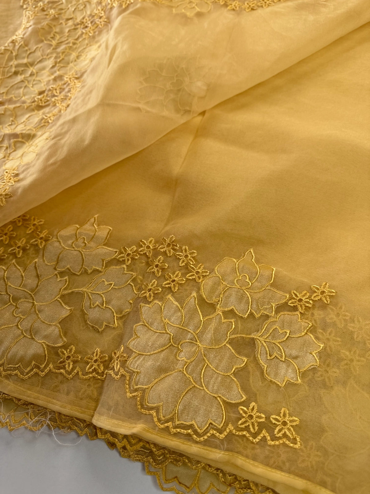 Soft Organza Saree/ 287B