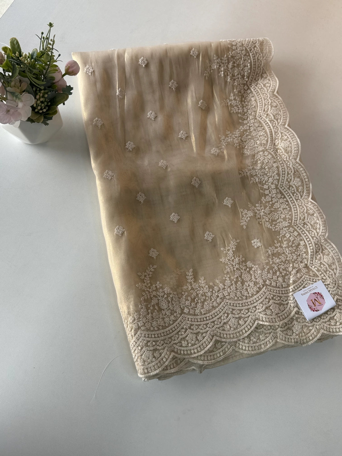 Tissue Organza Saree/SQ181