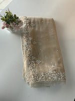 Tissue organza Saree/SA001