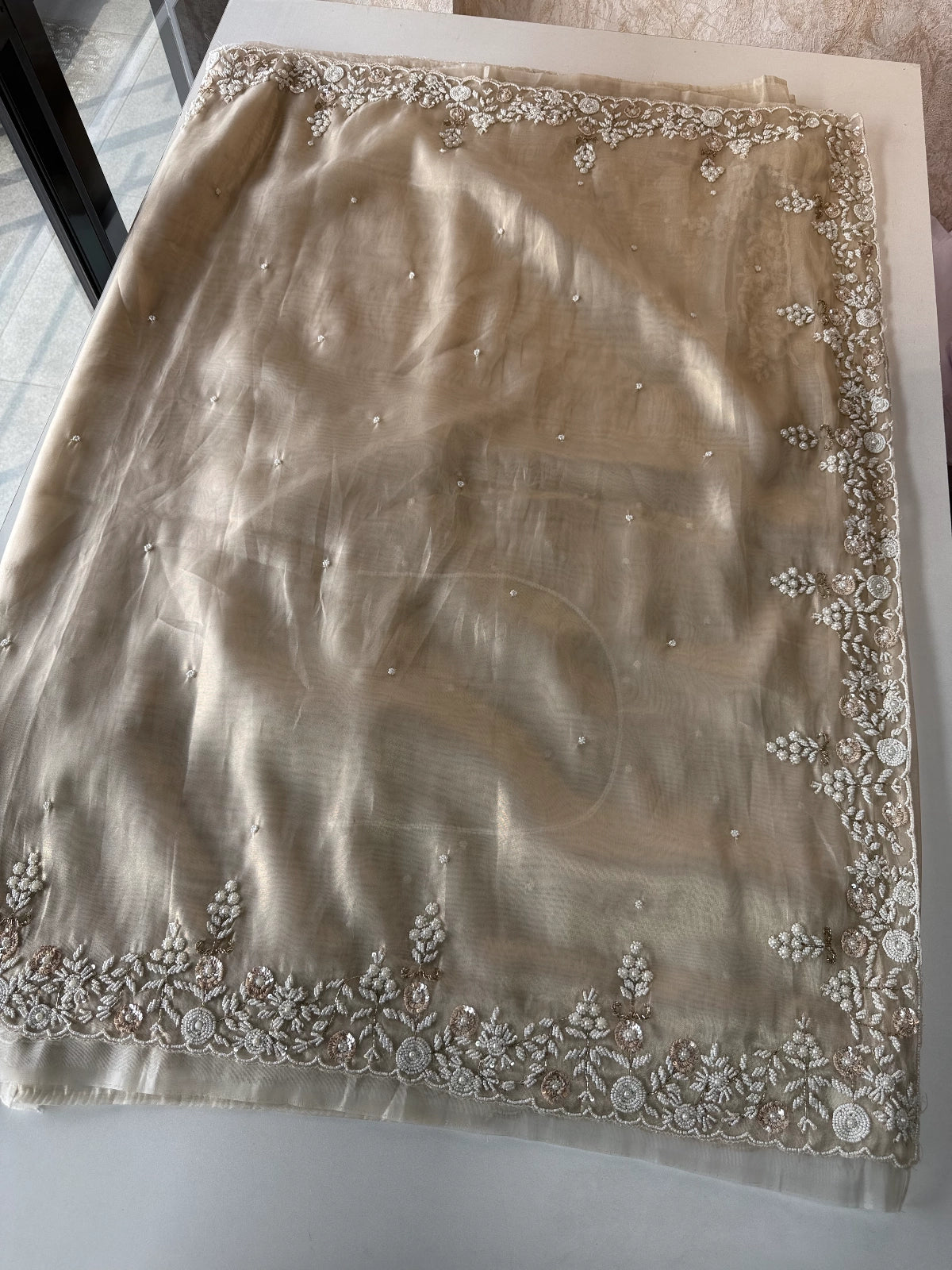 Tissue organza Saree/SA001