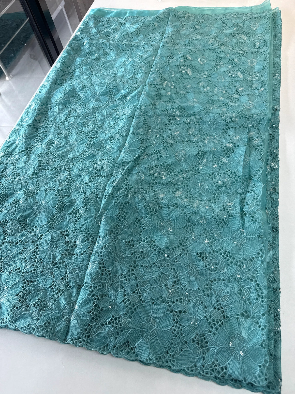 Soft organza Saree/ CW768