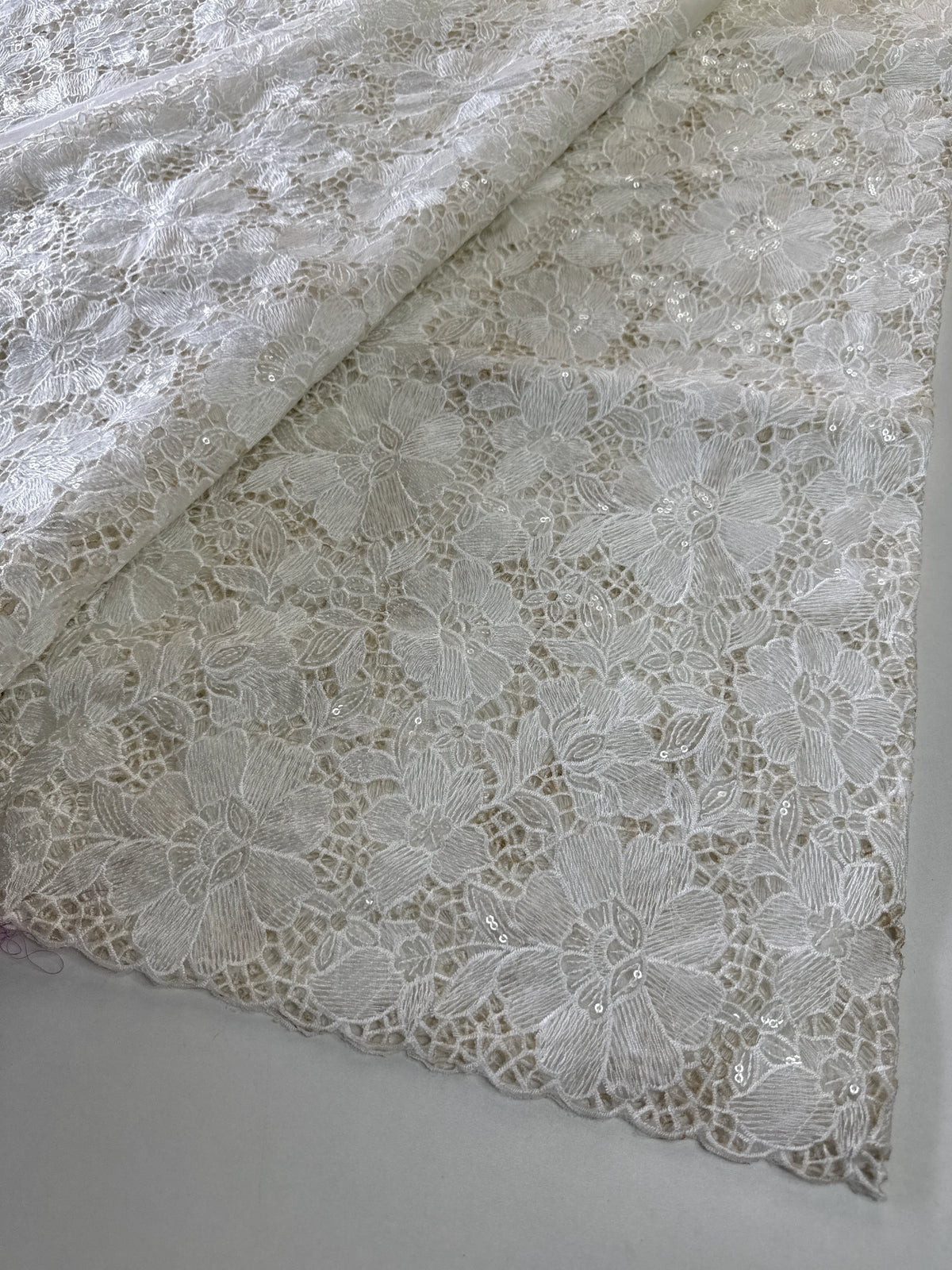 Soft organza Saree/ CW768