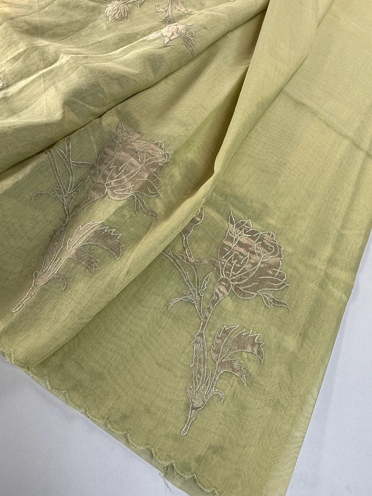 Chanderi Tissue blended Saree/ AWS16