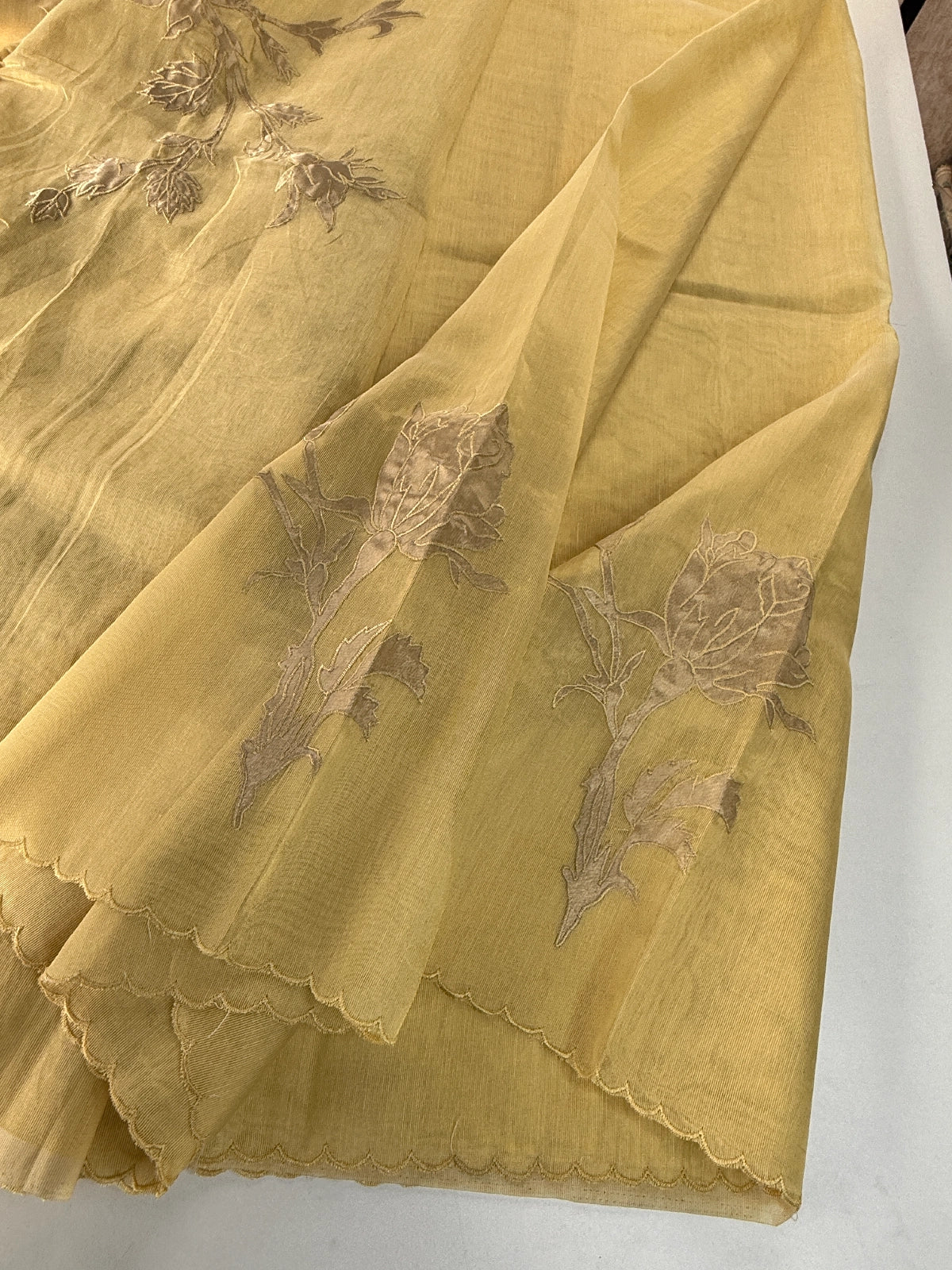 Chanderi Tissue blended Saree/ AWS16
