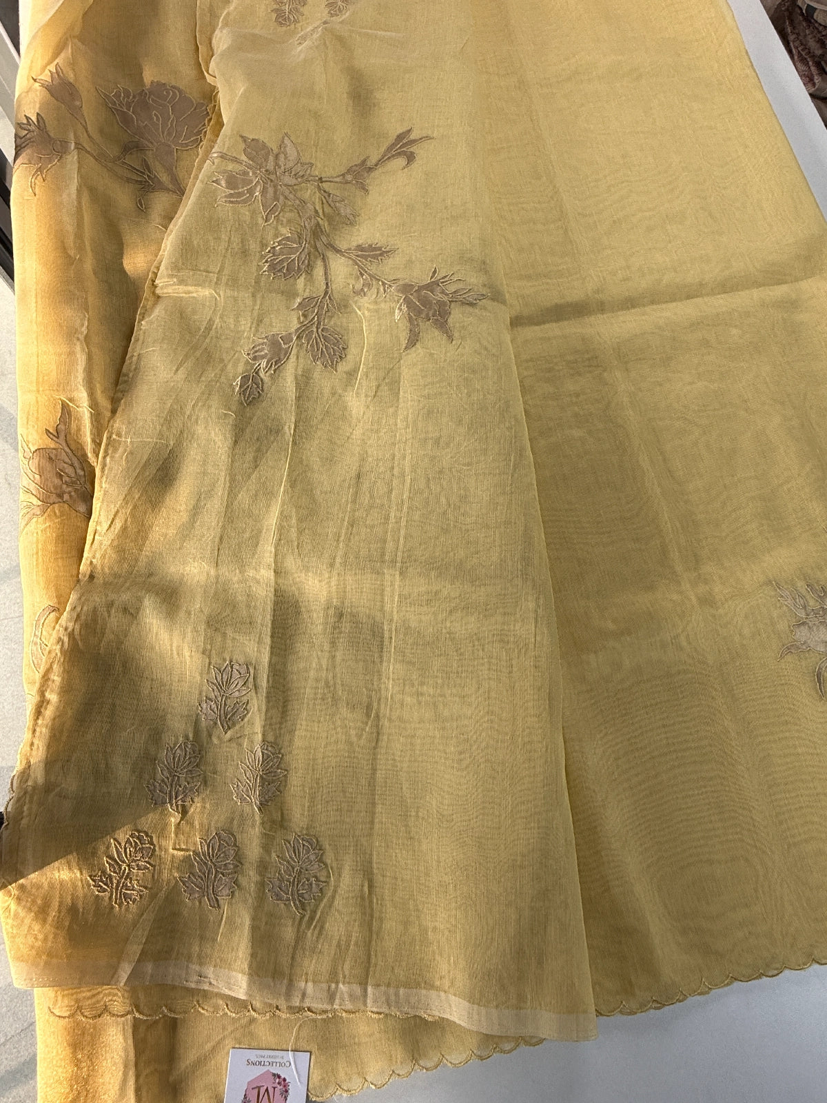 Chanderi Tissue blended Saree/ AWS16