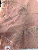 Chanderi Tissue blended Saree/ AWS16