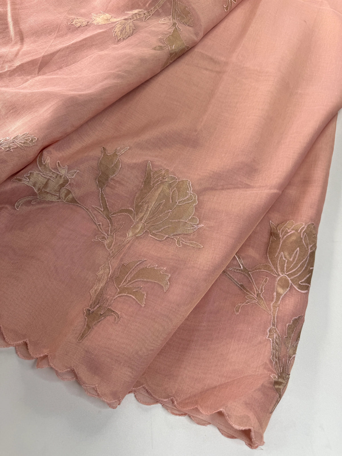 Chanderi Tissue blended Saree/ AWS16