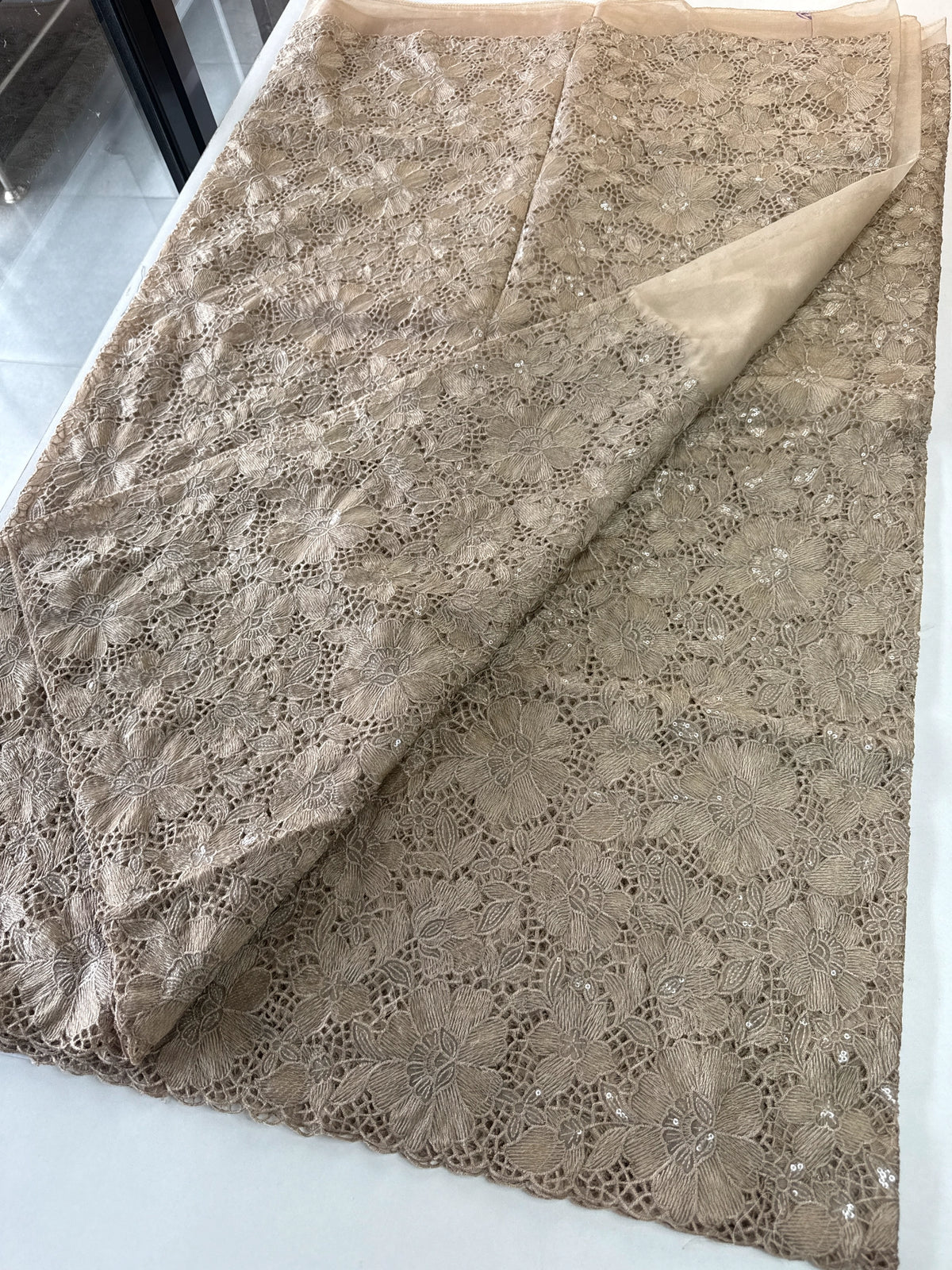Soft organza Saree/ CW768