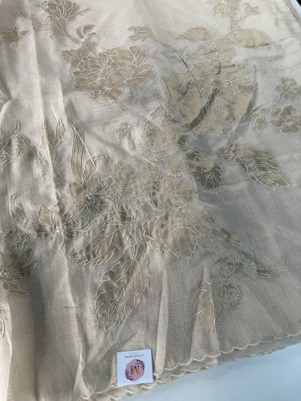 Chanderi Tissue blended Saree/ AWS16