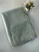Tissue organza saree/ SA009