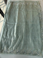 Tissue organza saree/ SA009