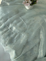 Tissue organza saree/ SA009