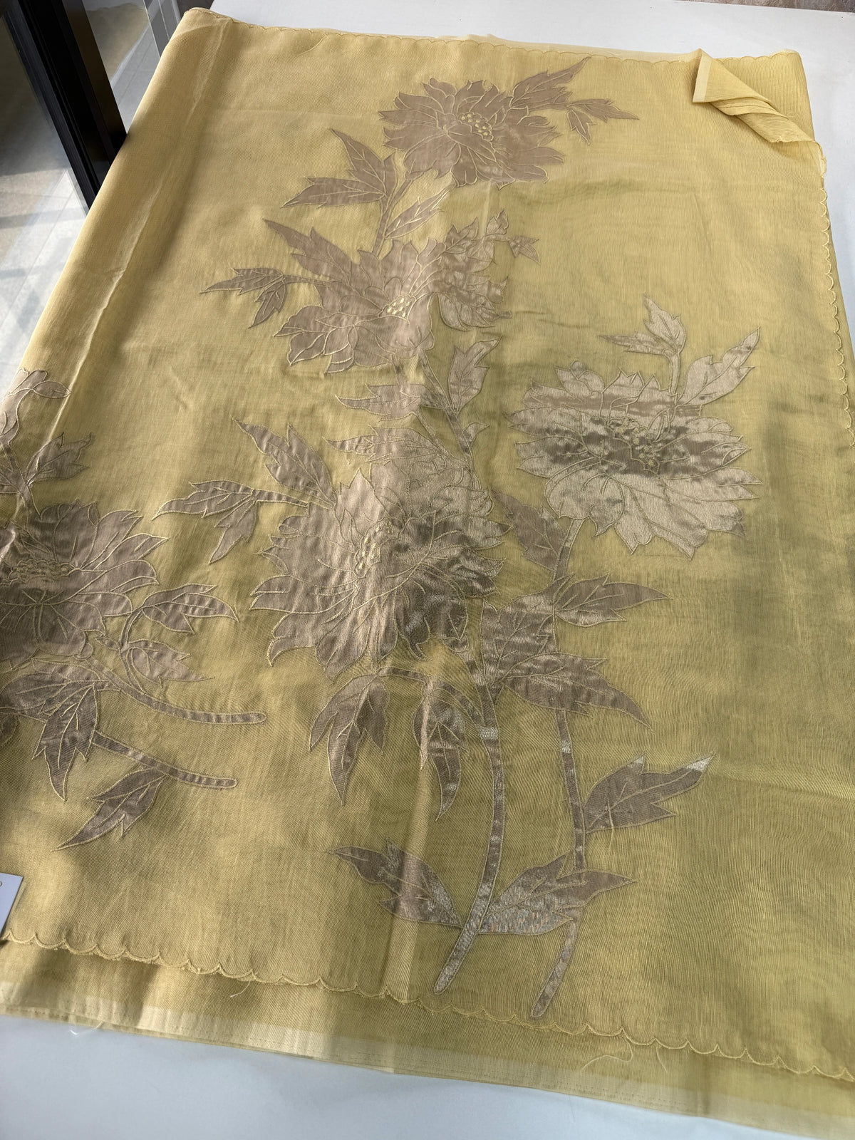 Chanderi Tissue Blended Saree/ AWS17