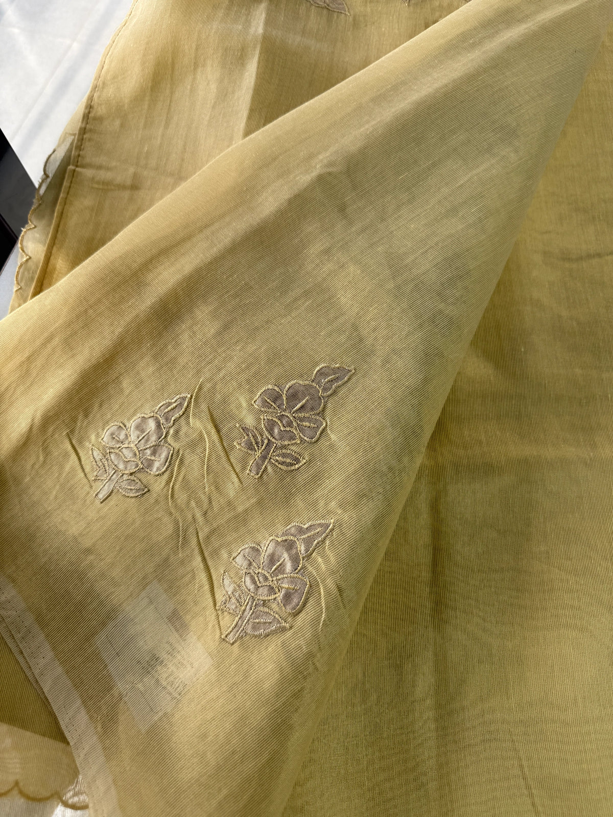 Chanderi Tissue Blended Saree/ AWS17