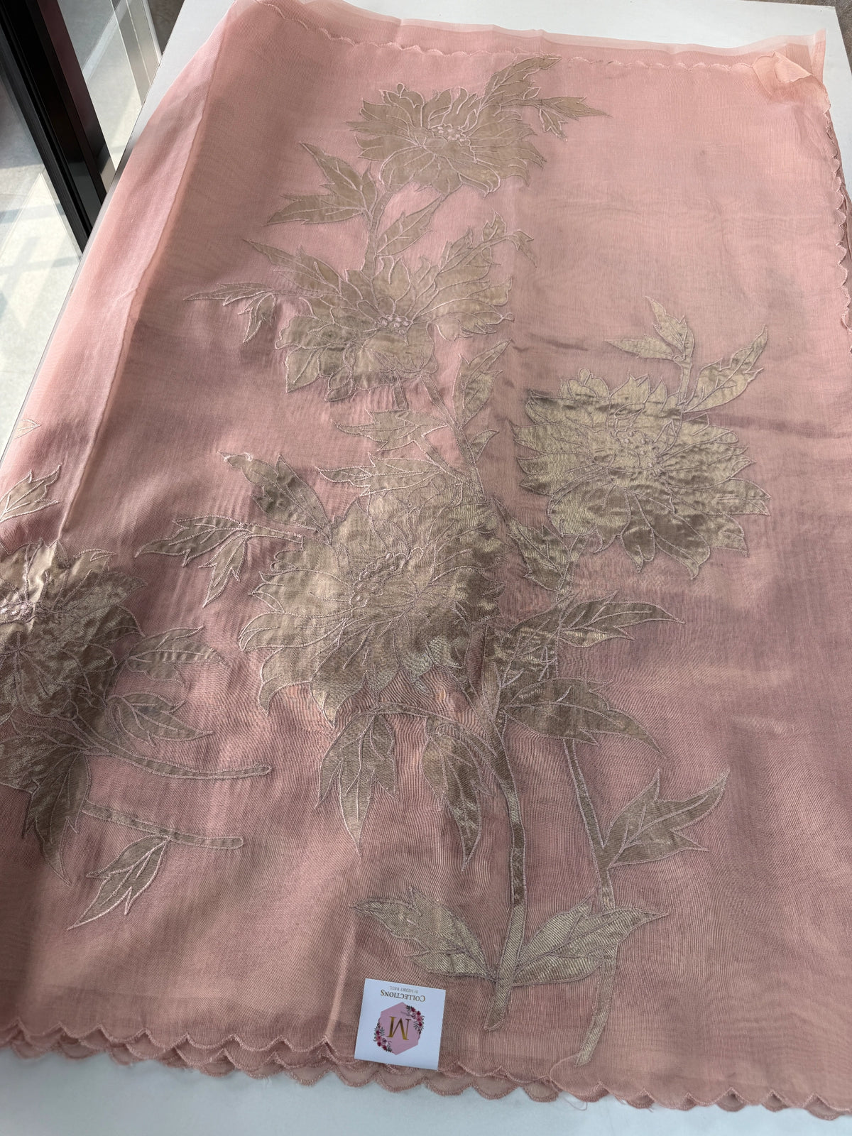Chanderi Tissue Blended Saree/ AWS17