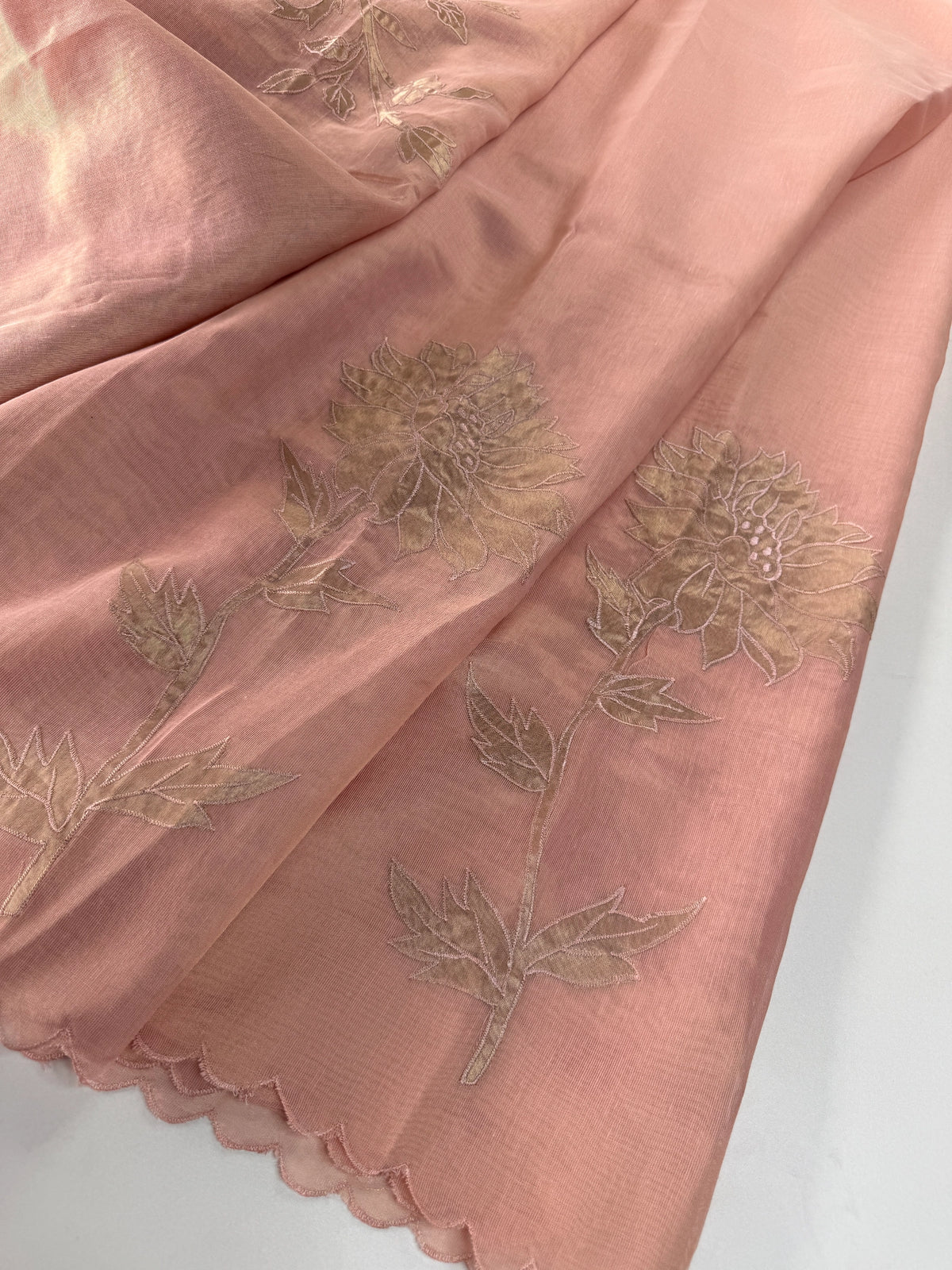 Chanderi Tissue Blended Saree/ AWS17