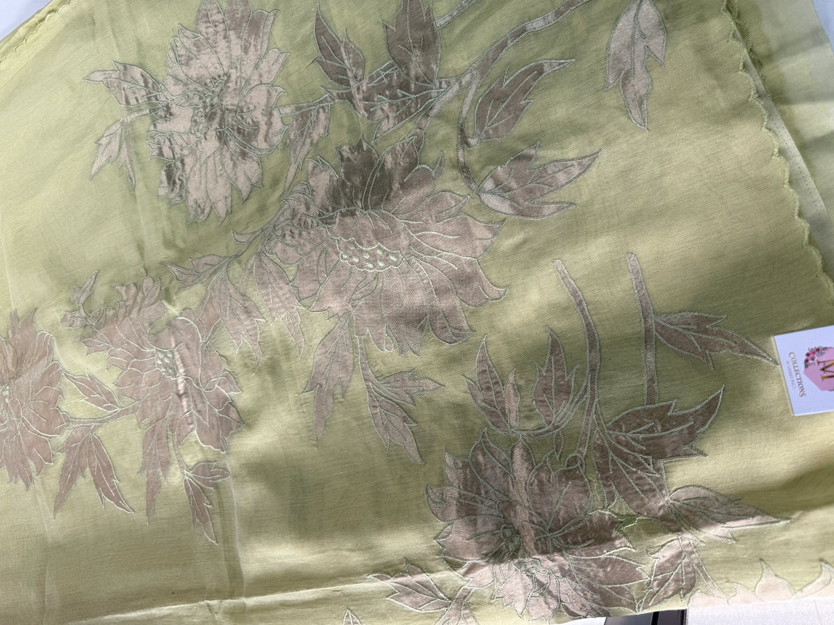 Chanderi Tissue Blended Saree/ AWS17