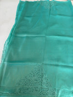 Tissue Organza Saree/ MSA45