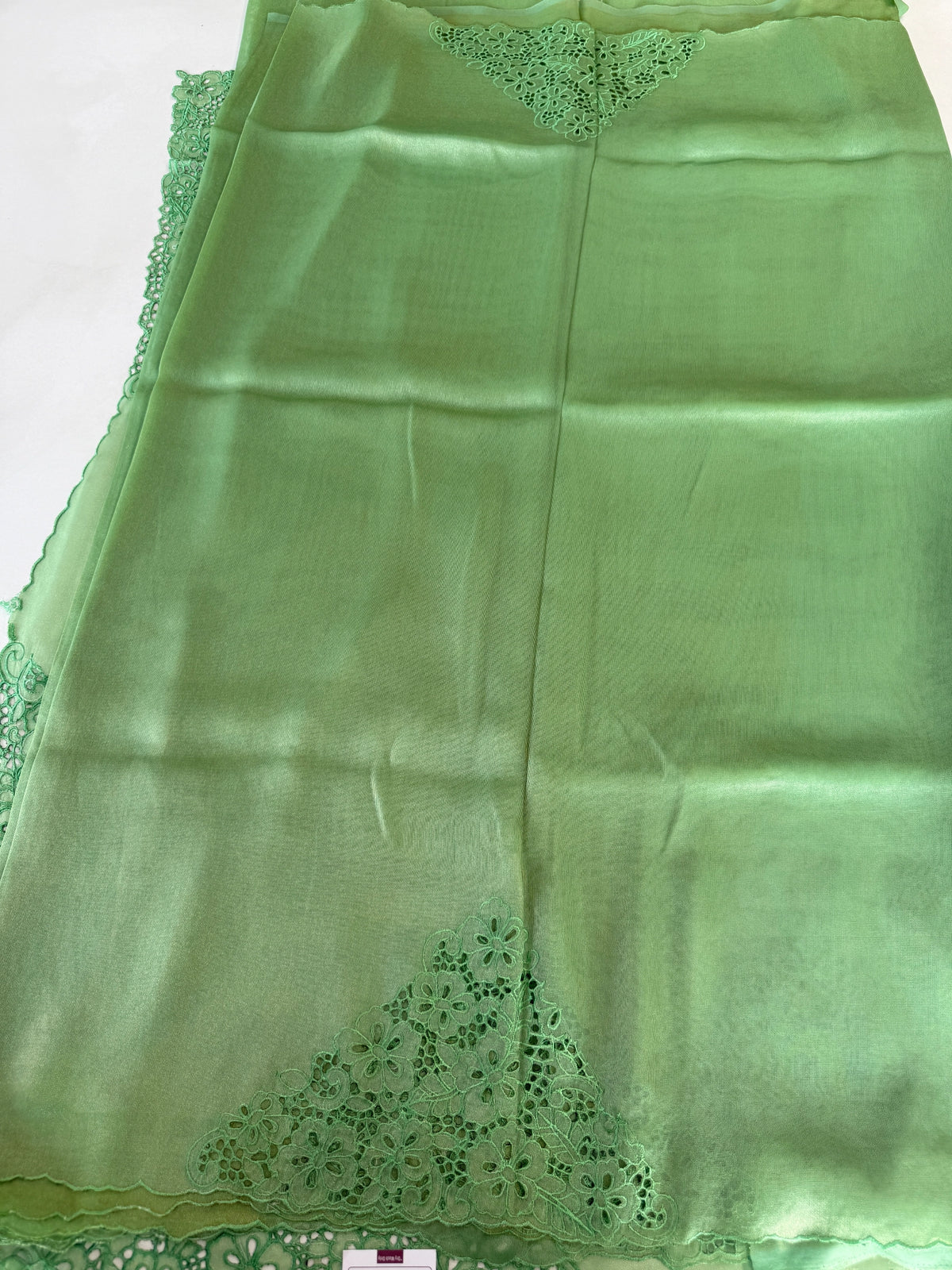 Tissue Organza Saree/ MSA45
