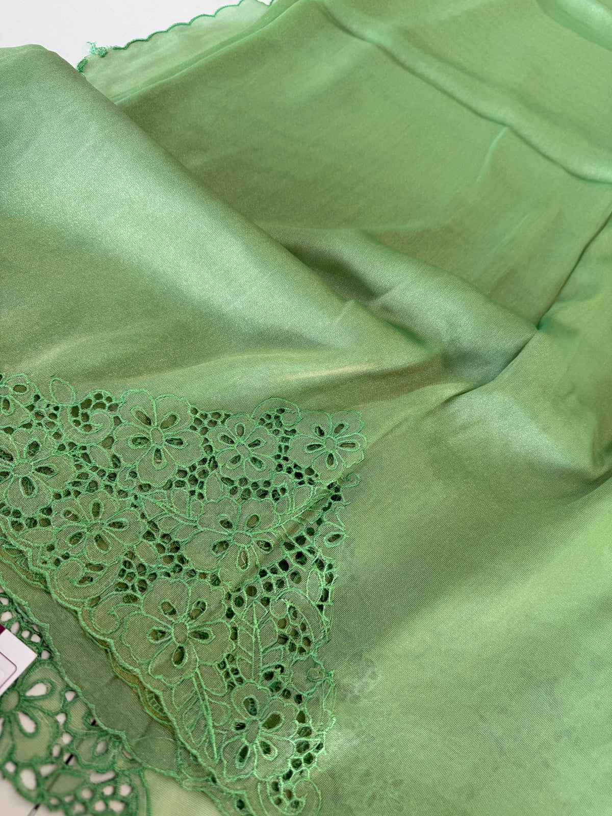 Tissue Organza Saree/ MSA45
