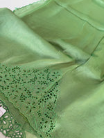 Tissue Organza Saree/ MSA45