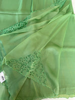 Tissue Organza Saree/ MSA45