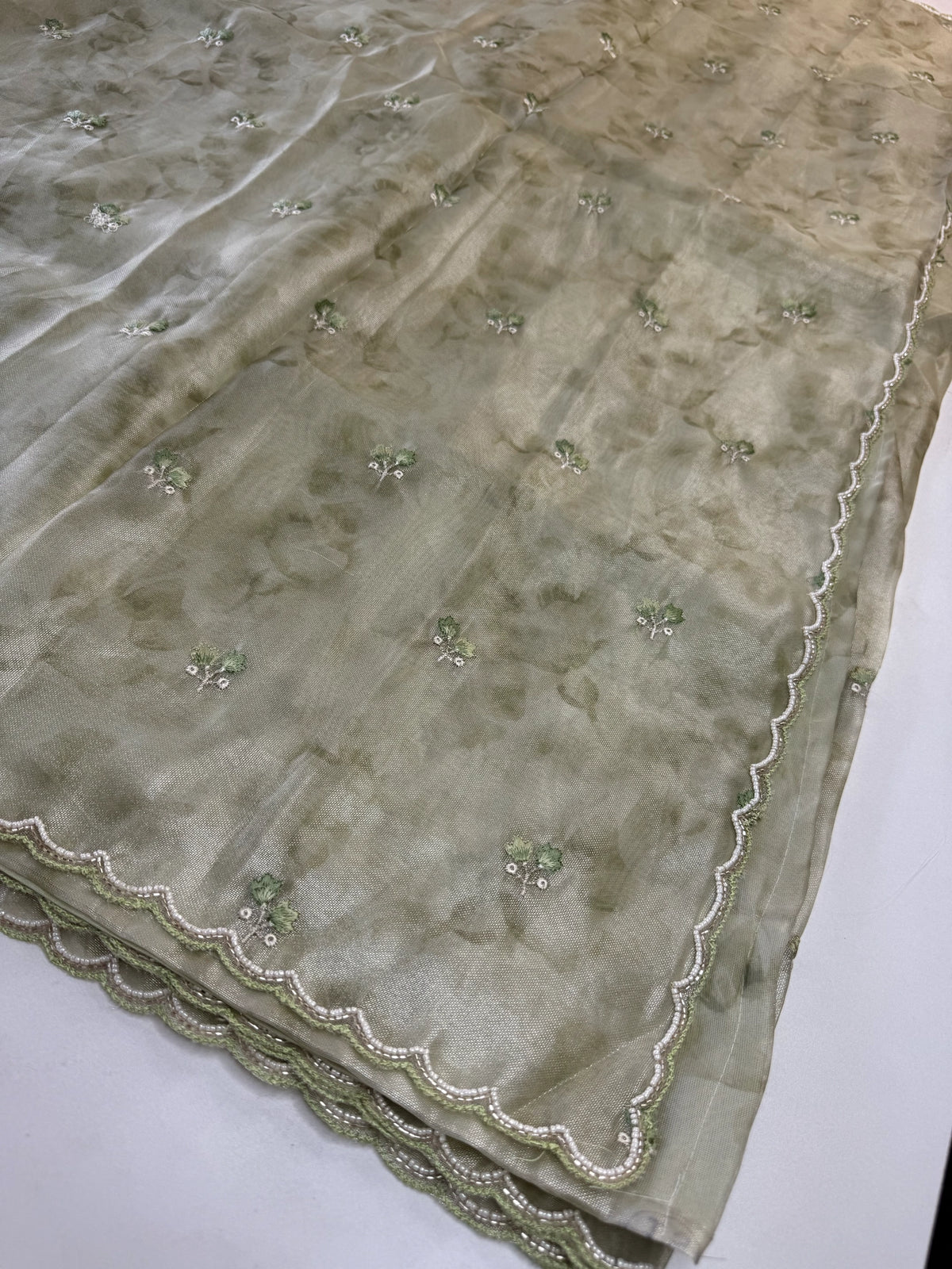 Tissue Organza Saree/ RKF14