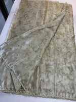 Tissue Organza Saree/ RKF14