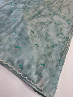 Tissue Organza Saree/ RKF14