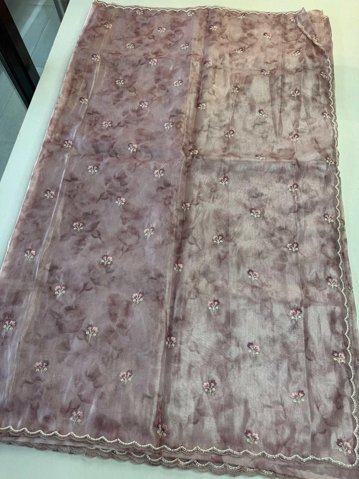 Tissue Organza Saree/ RKF14