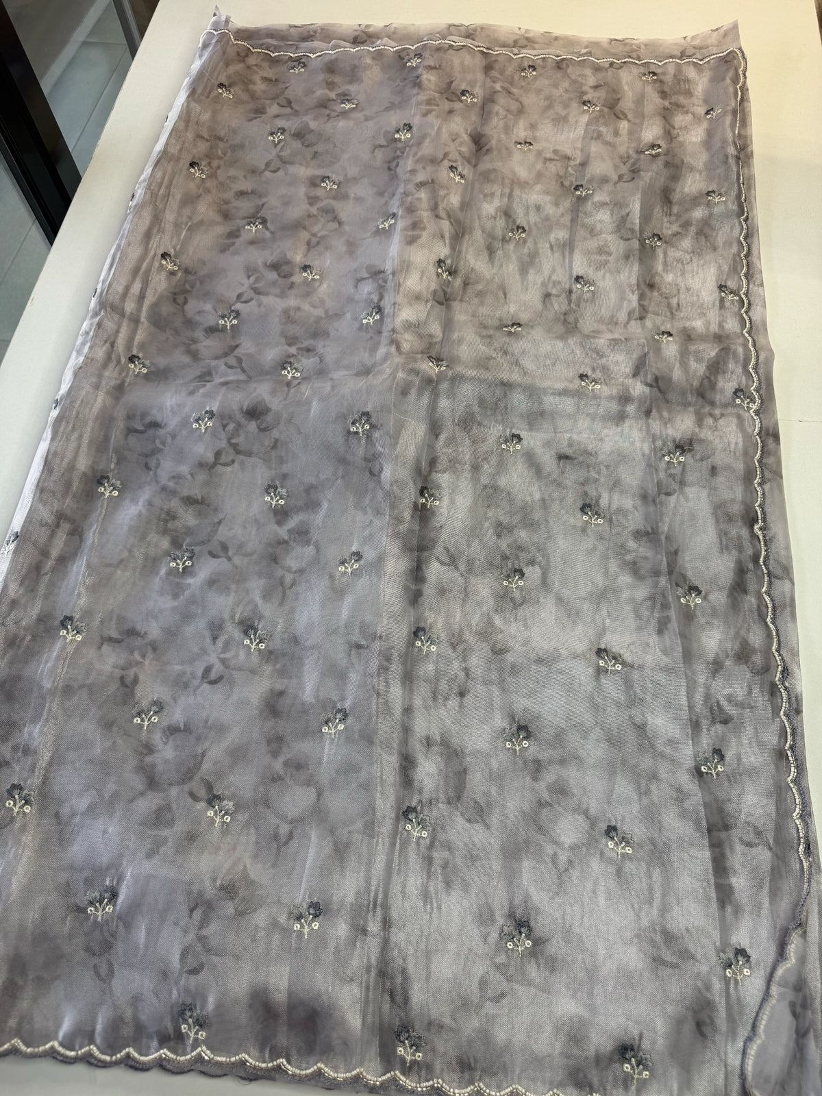 Tissue Organza Saree/ RKF14