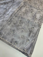 Tissue Organza Saree/ RKF14
