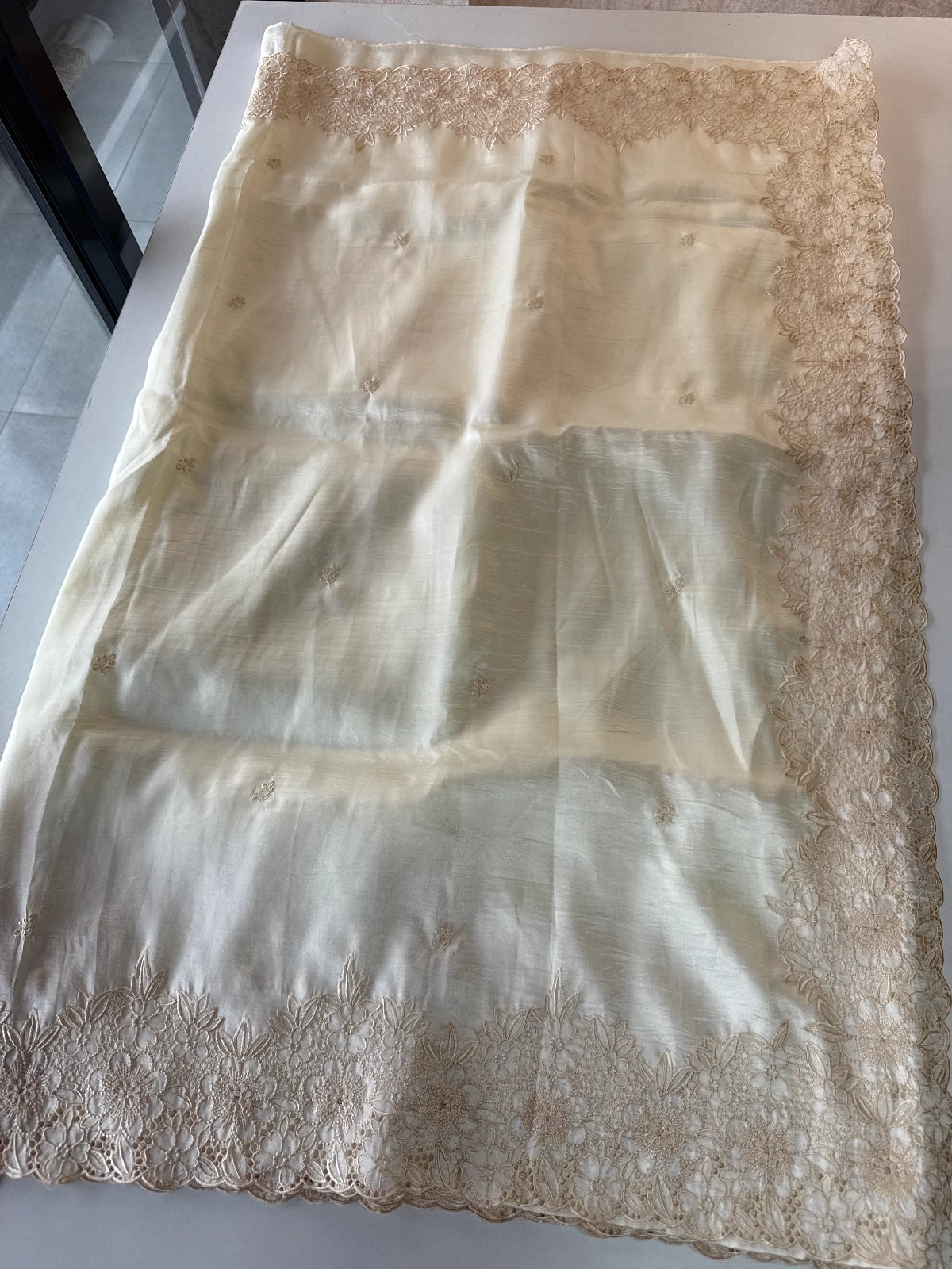 Crushed Organza Saree/ WS99