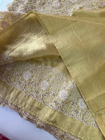 Crushed Organza Saree/ WS99