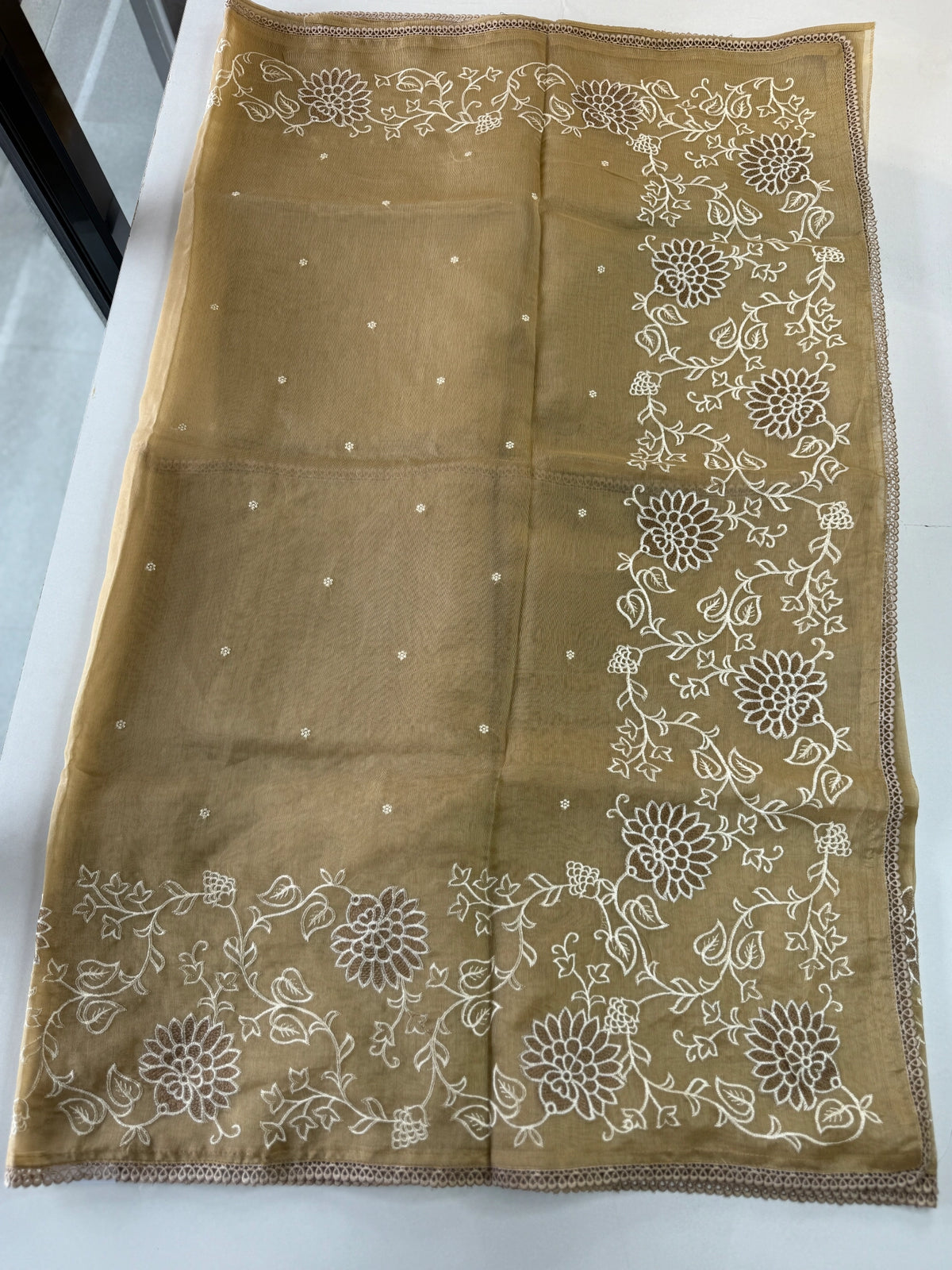 Tissue Chanderi Blended Saree/ 857E