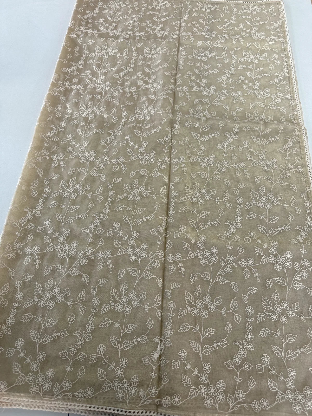 Tissue saree /MH187
