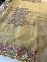 Organza Saree/ H100