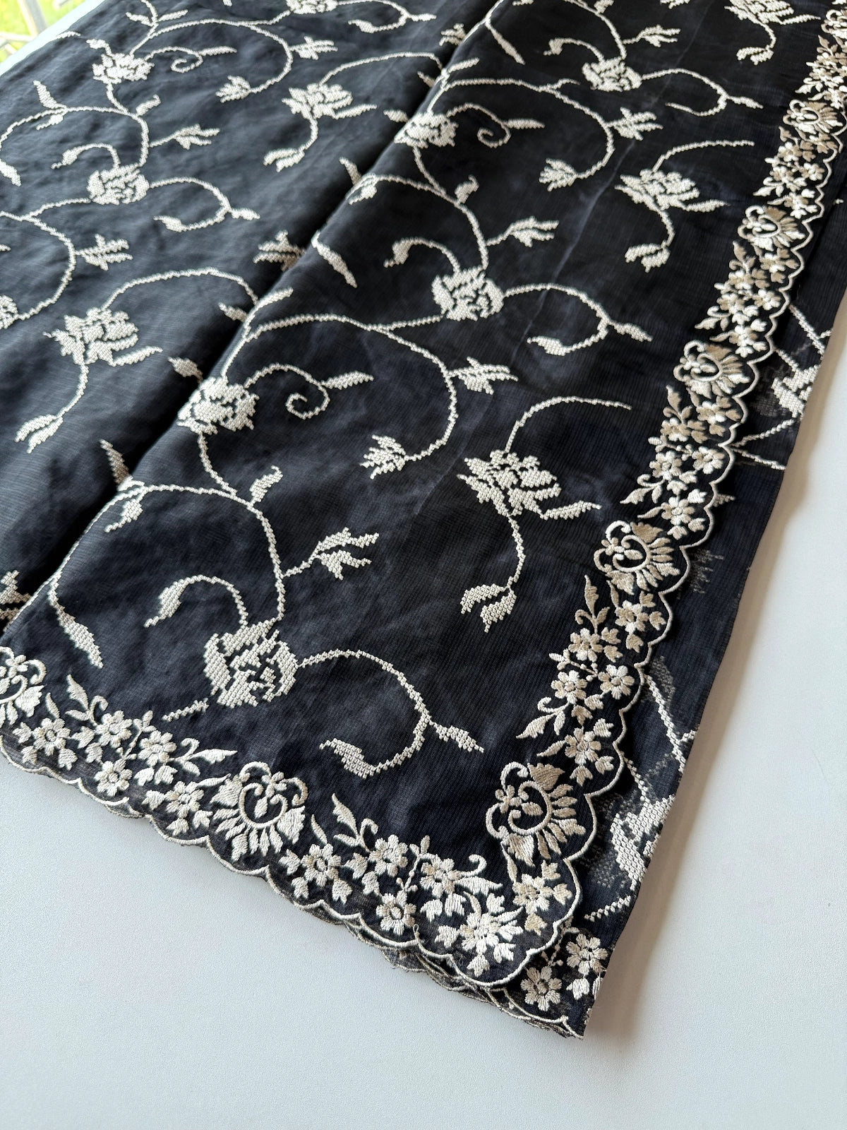 Silky kotta / WS01