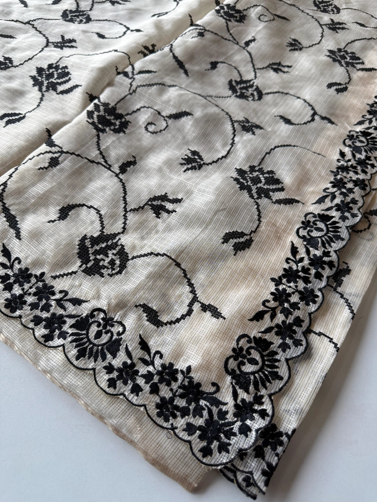 Silky kotta / WS01