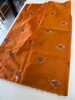 Soft organza saree/ Cw378