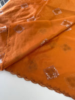 Soft organza saree/ Cw378