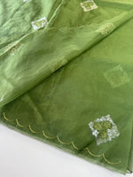 Soft organza saree/ Cw378