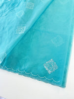 Soft organza saree/ Cw378