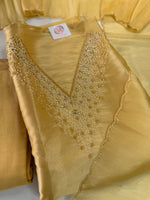 Unstitched Tissue Organza Salwar Set / S1252