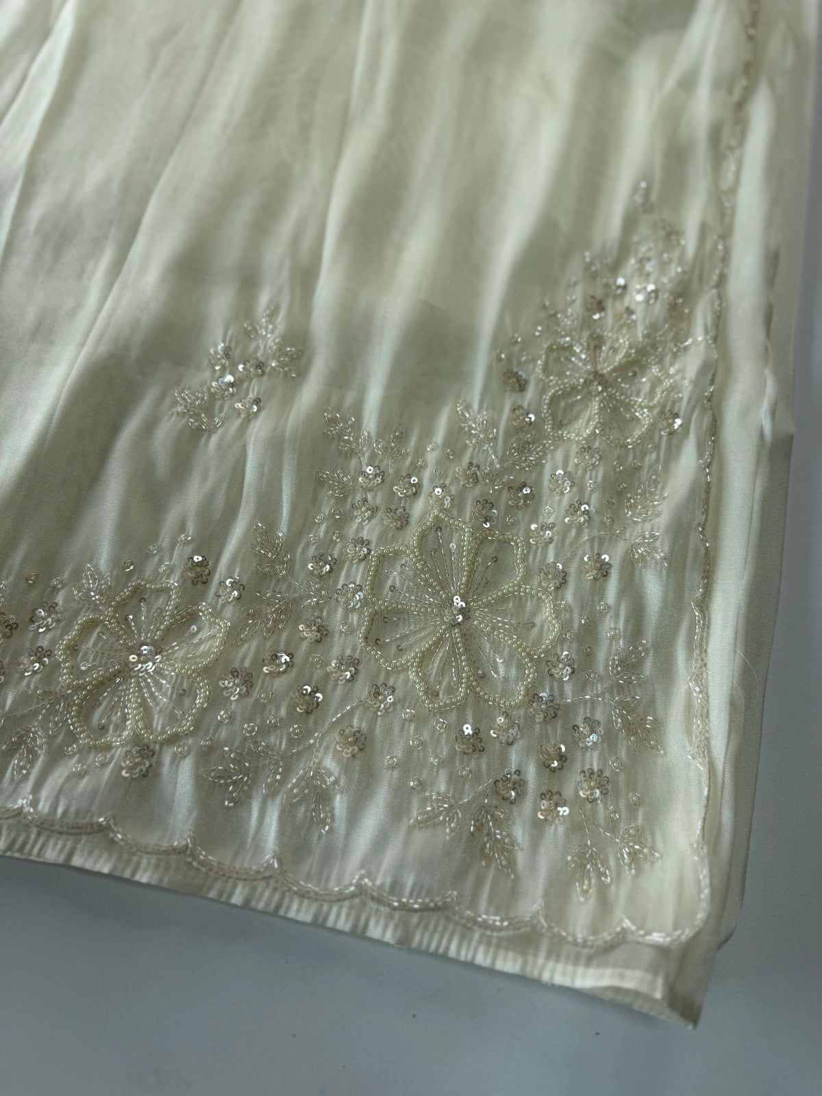 Tissue Organza Saree/ W319