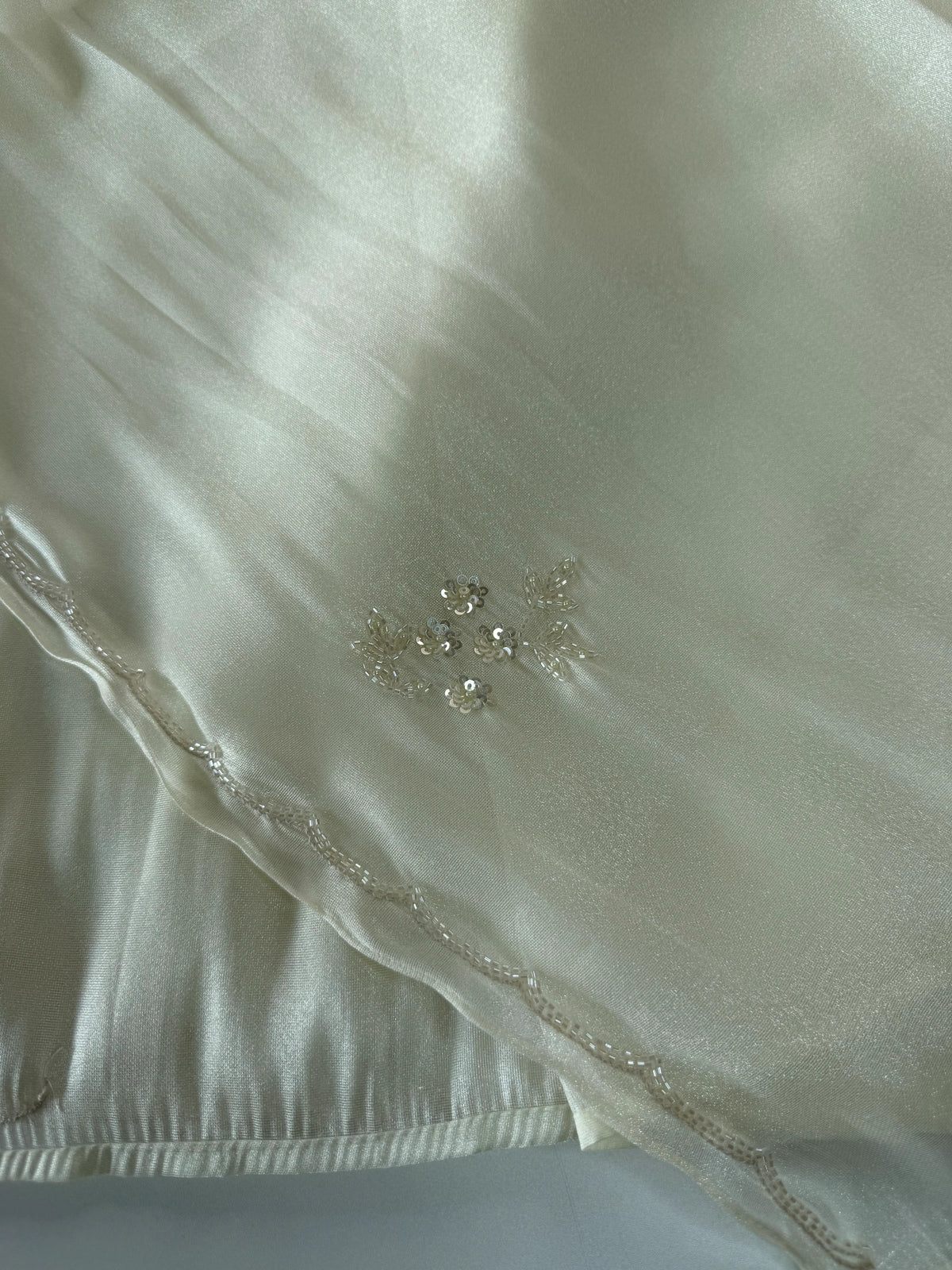 Tissue Organza Saree/ W319