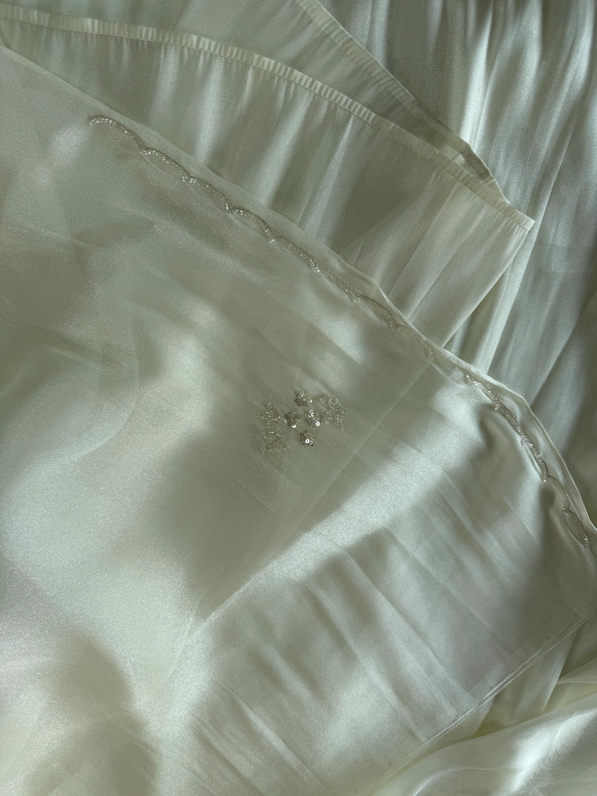 Tissue Organza Saree/ W319