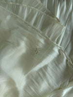 Tissue Organza Saree/ W319